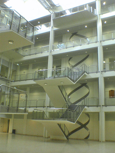 The foyer of the multi-million dollar Chemical and Molecular Sciences building, featuring the double helix staircase