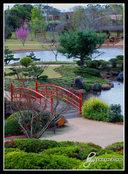 Japanese Gardens in the University of Southern Queensland, Toowoomba Campus 8