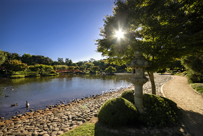 Japanese Gardens in the University of Southern Queensland, Toowoomba Campus 7