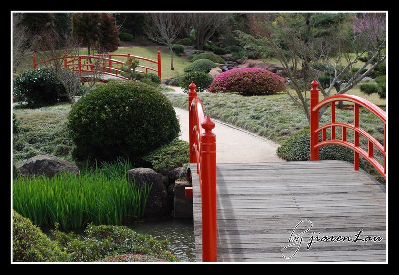 Japanese Gardens in the University of Southern Queensland, Toowoomba Campus 4