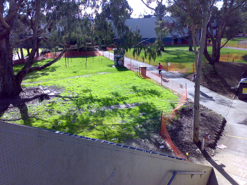 The lawn at Monash University
