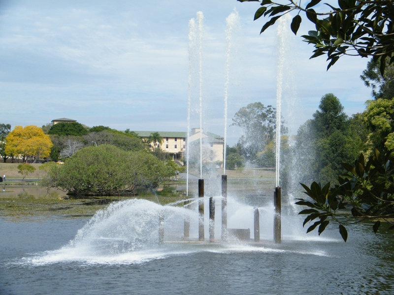 Fountain Lakes Lucia University of Queensland St Lucia Campus